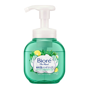 [6-PACK] Kao Japan Biore Hand Sanitisers Medicated Ultra Fine Cream Foam Gentle Cleansing 250ml ( 2 Scents Available ) Herb