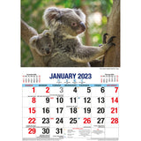 Australian Icons ƒ?? 2023 Rectangle Wall Calendar 16 Months Planner New Year Gift