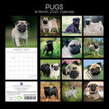 Pugs - 2024 Square Wall Calendar Pets Dog 16 Month Premium Planner New Year Gift