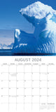 Antarctica - 2024 Square Wall Calendar 16 Months Planner Christmas New Year Gift