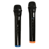 2 x Wireless Microphone Handheld Cordless Professional Mic Karaoke Receiver